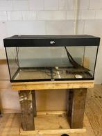 aquarium, Dieren en Toebehoren, Vissen | Aquaria en Toebehoren, Ophalen, Gebruikt, Leeg aquarium