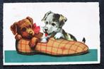 Twee honden passen er in één slof, 1938, Verzenden, 1920 tot 1940, Gelopen, Hond of Kat