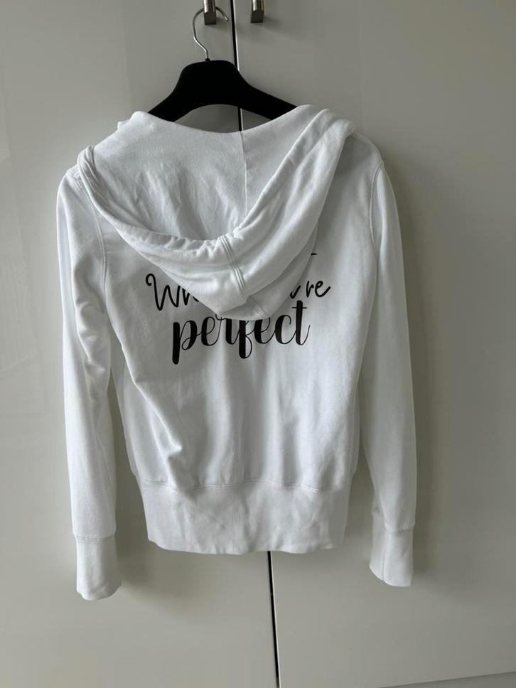 Dames hoodie maat S, Kleding | Dames, Truien en Vesten, Zo goed als nieuw, Grijs, Ophalen