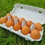 Te koop verse eieren maat M, Dieren en Toebehoren, Pluimvee | Toebehoren, Ophalen, Zo goed als nieuw, Overige typen