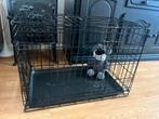 Honden bench, Dieren en Toebehoren, Hondenbenches, Ophalen of Verzenden, Zo goed als nieuw