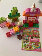Duplo compleet 10571, Ophalen of Verzenden, Zo goed als nieuw, Duplo