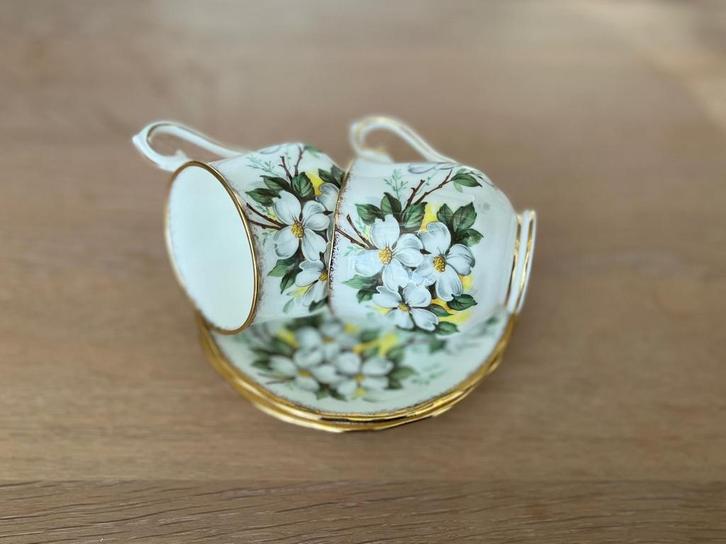 Royal Albert Kopjes en Schotels - White Dogwood, Huis en Inrichting, Keuken | Servies, Zo goed als nieuw, Kop(pen) en/of Schotel(s)