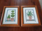 2 Borduurwerken.,,Buxus en Sanseveria,,ingelijst met glas, Minder dan 50 cm, Gebruikt, Overige typen, Ophalen of Verzenden