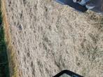 Midibalen hooi, Dieren en Toebehoren, Stalling en Weidegang