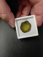 Groene toermalijn schijfje goudsmid, Ophalen of Verzenden, Nieuw