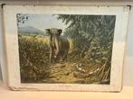 Oude Schoolplaat Boerman & Knip – In de rimboe, Ophalen, Natuur en Biologie