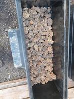 trickle inclusief filter matriaal ( ideaal tegen nitriet ), Ophalen, Gebruikt, Vijverfilter