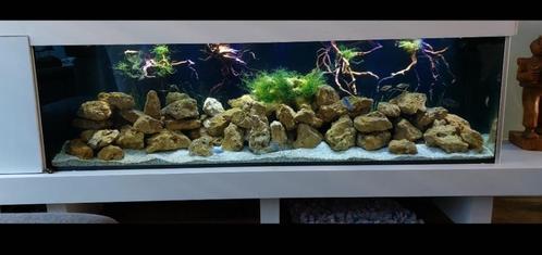 NETTE AQUARIUM 180 X 50 X 40 INCL DEKSEL/KAP EN FILTERS, Dieren en Toebehoren, Vissen | Aquaria en Toebehoren, Gebruikt, Leeg aquarium
