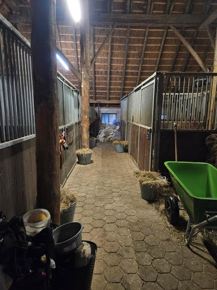 Beschikbaar: Vuurwerkarme stal in regio Beilen – vanaf 27-12, Dieren en Toebehoren, Stalling en Weidegang, Weidegang, 1 paard of pony