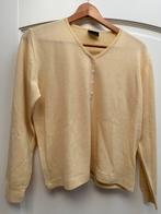 Merino trui 38 nieuw, Kleding | Dames, Truien en Vesten, Maat 38/40 (M), Geel, Nieuw, Ophalen of Verzenden