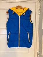 Blauw-gele bodywarmer mt M, Kleding | Dames, Ophalen of Verzenden, Zo goed als nieuw, Overige kleuren