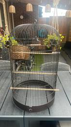 Vogelkooi, Dieren en Toebehoren, Vogels | Hokken en Kooien, Ophalen, Gebruikt, Metaal, Vogelkooi