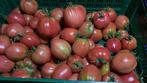 Groenten te koop zoals tomaten en courgette, Ophalen