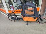 Vogue Carry 2 Bakfiets - Perfect voor 2 kinderen!, Ophalen of Verzenden, 4 kinderen of meer, Huif