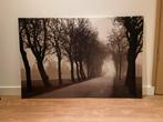 Canvas weg door bomen, Huis en Inrichting, Woonaccessoires | Schilderijen, Tekeningen en Foto's, Ophalen, Schilderij