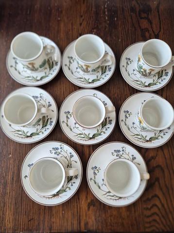 Servies villeroy en boch botanica beschikbaar voor biedingen