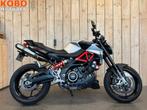 Aprilia SHIVER 900 (bj 2020), 2 cilinders, Bedrijf, 896 cc, Meer dan 35 kW