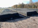 Maisbalen 1.20  x1.20  ,    snijmais  oogst 2025, Dieren en Toebehoren, Dierenvoeding, Ophalen of Verzenden, Vee