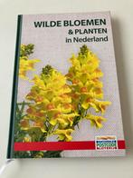 Wilde bloemen en planten/ vlinders en andere insecten, Boeken, Ophalen of Verzenden, Nieuw, Bloemen, Planten en Bomen