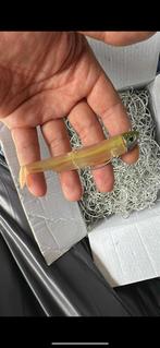 Weedless Minnow Worm Haken, Ophalen of Verzenden, Nieuw, Haak
