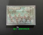 Warhammer 40,000 Drukhari Dark Eldar Wyches New Sealed, Hobby en Vrije tijd, Wargaming, Nieuw, Figuurtje(s), Warhammer, Ophalen of Verzenden