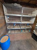 10 draadkooien, Dieren en Toebehoren, Ophalen, Hout, Vogelkooi