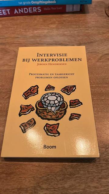 Jeroen Hendriksen - Intervisie bij werkproblemen - NIEUW beschikbaar voor biedingen