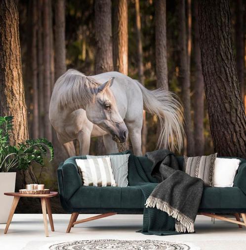 Fotobehang / Behang - Wit Paard in het Bos, Huis en Inrichting, Stoffering | Behang, Wit, minder dan 10 m², Verzenden