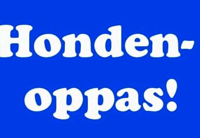 Aangeboden honden oppas kleine honden, Dieren en Toebehoren, Hondenbenches, Nieuw, Ophalen of Verzenden