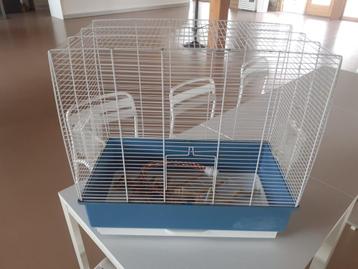 Vogelkooi 1 beschikbaar voor biedingen