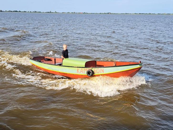 Kameleon, Hobby en Vrije tijd, Overige Hobby en Vrije tijd, Gebruikt, Ophalen