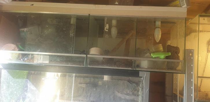 4 kweekbakje  0,95 lang 0,32 cm hoog, Dieren en Toebehoren, Reptielen en Amfibieën | Toebehoren, Zo goed als nieuw, Ophalen