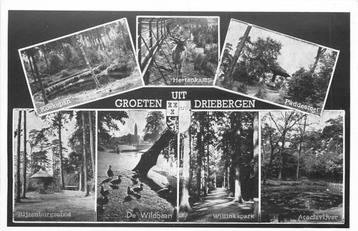(388-159-009) Driebergen-Rijsenburg Groeten uit beschikbaar voor biedingen