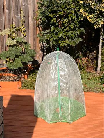 Klein Plantenkasje - Ideaal voor Balkon/Tuin beschikbaar voor biedingen