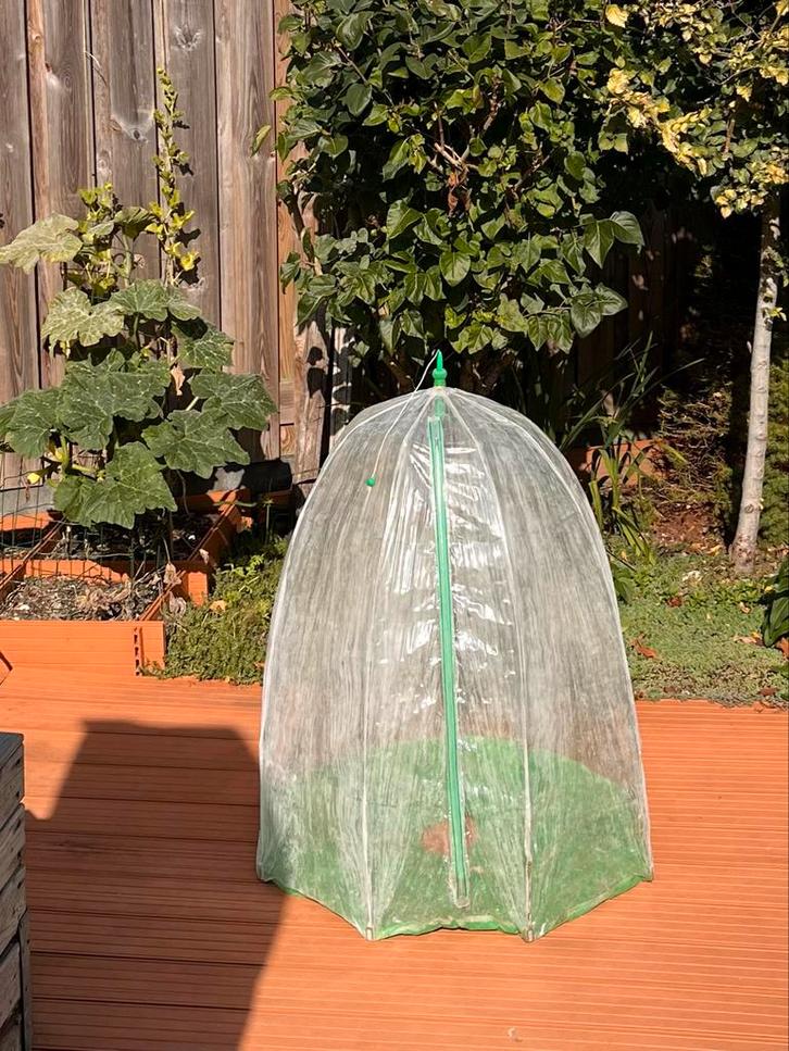 Klein Plantenkasje - Ideaal voor Balkon/Tuin, Tuin en Terras, Kassen, Gebruikt, Kweekkas, Plastic, Folie, Ophalen