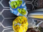 Tennisballen, Gebruikt, Ballen, L00, Ophalen