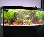 150cm helialux spectrum + controler, Ophalen, Zo goed als nieuw, Verlichting of Verwarming