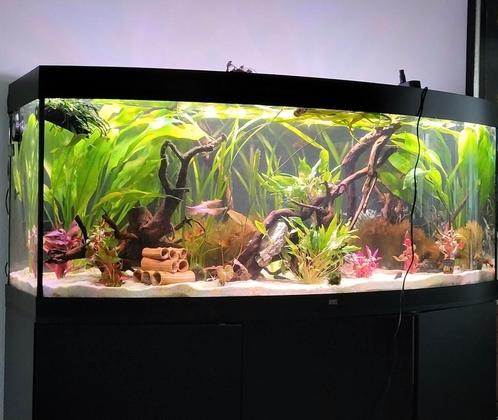 150cm helialux spectrum + controler, Dieren en Toebehoren, Vissen | Aquaria en Toebehoren, Zo goed als nieuw, Verlichting of Verwarming