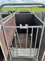 Spinder Eenlingboxen Kalverhokken, Dieren en Toebehoren