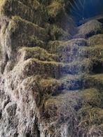 Pakjes hooi te koop, Dieren en Toebehoren, Dierenvoeding, Ophalen, Vee