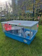 Hamsterkooi Ferplast, nette staat (zgan) incl. toebehoren, Dieren en Toebehoren, Kooi, Minder dan 75 cm, Minder dan 60 cm, Zo goed als nieuw