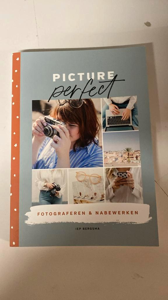 Iep Bergsma - Picture perfect, Boeken, Hobby en Vrije tijd, Zo goed als nieuw, Verzenden