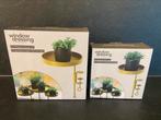 Planten vensterbankklem (2), Ophalen of Verzenden, Overige soorten, Minder dan 100 cm