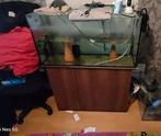 3x aquarium, Dieren en Toebehoren, Vissen | Aquaria en Toebehoren, Ophalen, Zo goed als nieuw, Plant(en), Steen of Hout