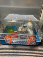 hamsterkooi, Dieren en Toebehoren, Minder dan 60 cm, Kooi, Minder dan 75 cm, Ophalen of Verzenden