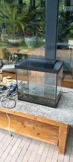Klein aquarium, Ophalen of Verzenden, Gebruikt, Leeg aquarium