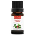 Geurende wintergroen (Gaultheria Fragrantissima) 5 ml, Compagnie des Sens, Nieuw, Ophalen of Verzenden, Info@aromachaya.com