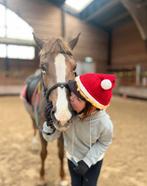 Verzorg paard/pony gezocht!!!, Ophalen of Verzenden