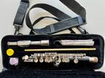 Piccolo flute, Met koffer of tas, Zo goed als nieuw, Piccolo, Ophalen